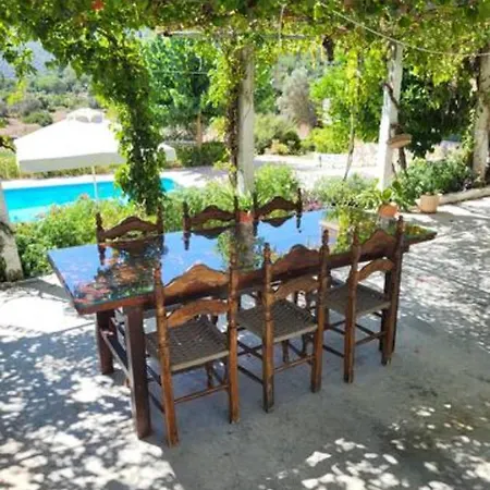 Elena's Summer House Apartment