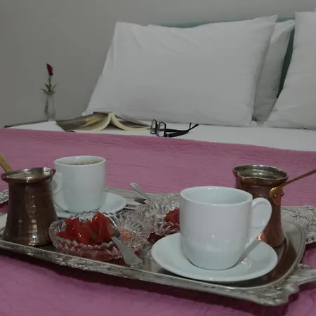 Elena's Summer House *